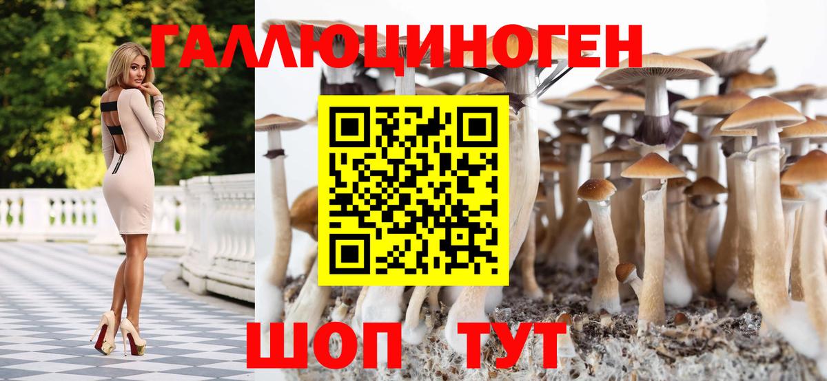 Псилоцибиновые грибы Magic Shrooms Астрахань