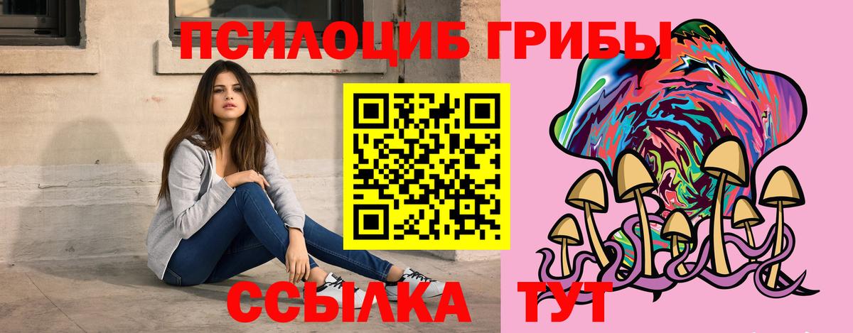 Галлюциногенные грибы Psilocybe  Псилоцибиновые грибы мицелий  Вход с VPN  Астрахань 
